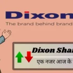 Dixon Share Price