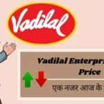 Vadilal Enterprise Share Price